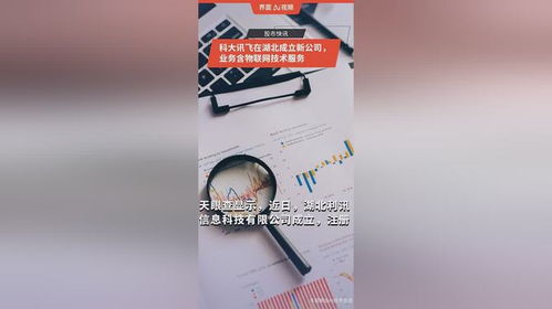 科大訊飛在湖北成立新公司，拓展物聯網技術服務版圖